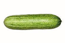 Cucumber Wikipedia