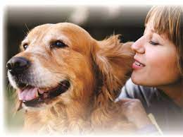 We did not find results for: Pet Cremation Services Southerncrosspetservices