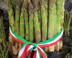Fiera della Tinca e dellAsparago 2024” a Poirino, tutto il programma dal  10 al 13 maggio: ospite Ivana Spagna - Corriere di Carmagnola