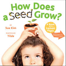 Make a lolly stick plant label give your child pens and a lolly stick to draw or write the name of their plant on. How Does A Seed Grow Book By Sue Kim Tilde Official Publisher Page Simon Schuster