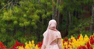 Background kartun ~ background kindle pics from 3.bp.blogspot.com. Wallpaper Taman Bunga Terindah Di Dunia People In Nature Nature Natural Landscape Yellow Tree Botany Leaf Plant Wildflower Photography 1856609 Wallpaperkiss