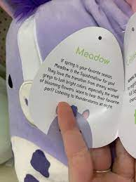 Find all cheap squishmallows clearance at dealsplus. Meadow Uses They Them Pronouns Squishmallow