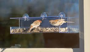 This simple bird feeder makes an ample platform for serving a flock of seed eaters. 14 Best Window Bird Feeders Reviewed And Rated In 2021