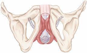Advance Male Sling System Features Benefits Boston Scientific