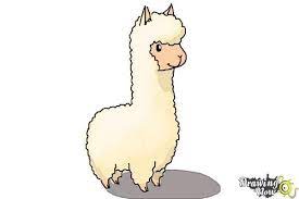 Image Result For Cartoon Llama Animal Drawings Llama Drawing Cartoon Llama