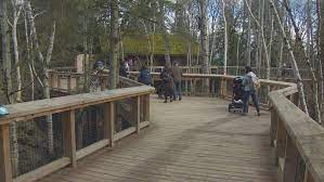 Its size is wonderful, but overwhelming, and tough to cover in if you're not averse to walking, avoid the pay lots at the entrances and look for free street parking; Seattle S Woodland Park Zoo To Reopen July 1 With Changes Komo