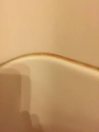 Orange mold in shower & wall, what & how to get rid of this thing. Pink Slime Mold In Shower Picture Of Grant Village Lodge Yellowstone National Park Tripadvisor
