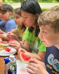 Occupational Therapist -Lindsey Stamper, MS, OTR/L (@forestwaysot) •  Instagram photos and videos