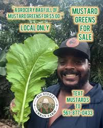 Organic red wine is real wine, made without chemicals or additives. It is  grown without pesticides, herbicides, or fungicides, and without the  application of synthetic fertilizers or other biocides. It is 100%