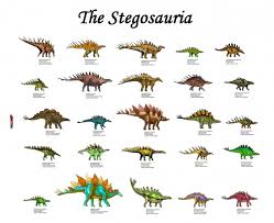 Illustrated Dinosaurs Chart Free Stock Photo Public Domain