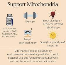Lysssann Healthy Quotes Mitochondria Biohacking