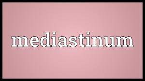 How to pronounce mediastinum (audio) \. Mediastinum Meaning Youtube