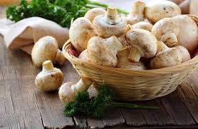 Mushrooms are an acquired taste and are a food that picky human eaters tend to stay away from. Can Dogs Eat Mushrooms Or Are Mushrooms Bad For Dogs Ultimate Home Life