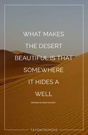Wednesday Wisdom What Makes The Desert Beautiful Inspirational Words Nature Quotes Literary Quotes