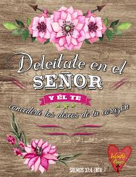 Textos Biblicos Biblia Jesus Dios Amor Biblia Vintage Rosa Madera Amor