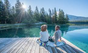 Meaning of the slang word or phrase snowbird. 4 Questions Snowbirds Are Asking As Canada Heads Into Spring