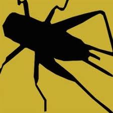 After much hard work and effort, the company developed, and because of its integrity and many satisfied customers it has flourished into what it is today, the largest independent pest control. Gilles Lambert Pest Control Services Pest Control Winnipeg Mb Phone Number Yelp