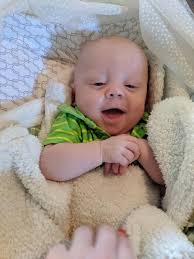 Rescued dog gaining weight and muscles