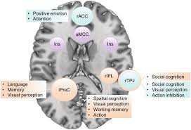 To anything they observe on the left. Https Academic Oup Com Schizbullopen Article Pdf 1 1 Sgaa016 33110832 Sgaa016 Pdf