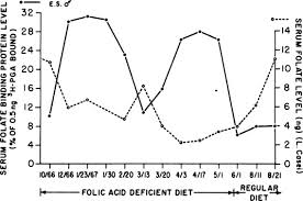 Image result for Serum Folate