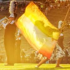 Image result for Brite Yellow 1975 Colt