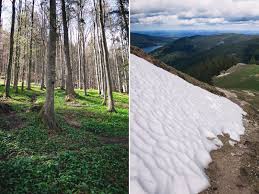 Aktuelles wetter baumgartenschneid aktuelle wettervorhersage stundengenau für heute & die nächsten 3 tage regenradar, unwettervorhersage & wetterbericht baumgartenschneid. Wanderung Auf Die Baumgartenschneid Kathrinsworld