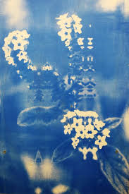 Bildergebnis für Ala D'Amico