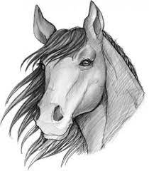Pin On Horses