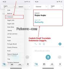 Cara Menambahkan Bahasa Indonesia di Translate/Terjemahkan iPhone dan iPad | PUKEVA