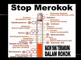 Bahan kimia dalam kehidupan 143 2. Bahaya Merokok Di Kalangan Remaja Apa Itu Rokok