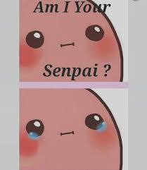 Just Go To Sleep On Instagram Oho Cute Potato Kawaii Potato Potato Funny