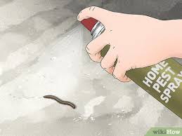 100 quadratmeter kosten also mindestens 1000 euro im monat. Tausendfusser Loswerden Wikihow