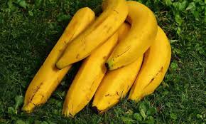 Pisang yang paling populer di indonesia di antaranya pisang ambon atau pisang mas. 7 Khasiat Buah Pisang Kepada Manusia Beserta Fakta Nutrisi Kalori