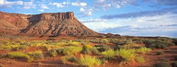 Free wireless internet access in moab, utah. Deserts Canyonlands National Park U S National Park Service