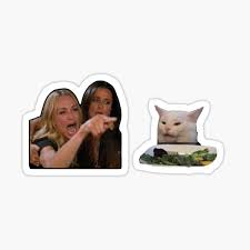 We did not find results for: Cat Meme Gifts Merchandise Redbubble