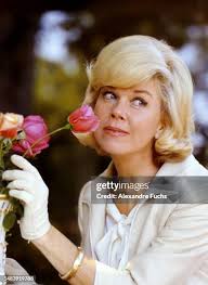 327 Doris Rose Photos & High Res Pictures