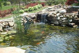 When water turns on there is moaning sound as the pump kicks in. How To Build And Maintain A Koi Pond How To Take Care Of Goldfish