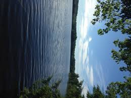 Select ld's with amendments adopted by the house?yes no don't care, select ld's with amendments adopted by the senate?yes no don't care select only ld's with amendments? Largemouth Bass Fishing On Island Pond In Harrison Maine August 16 2014 The Amazing Fish A Metric