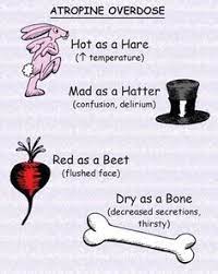 Uses Of Atropine Mnemonic Google Search Nursing School Survival Pharmacology Nursing Mnemonics