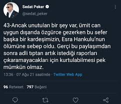 The latest tweets from @sedat_peker Bb3qub5xo Ibum