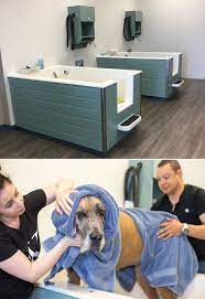 Washing your dog can be a positive bonding experience—many dogs enjoy their bath, just like they look forward to a walk. Done Right Diy Baths Produce Bonus Revenue Petsplusmag Com