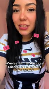 Cuáles Son Los Mejores Asientos En El Estadio Hermano Cerdán Puebla