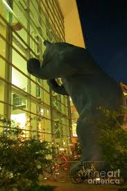Lift your spirits with funny jokes, trending memes, entertaining gifs, inspiring stories, viral videos, and so much more. Big Blue Bear At Night In Denver Photograph By John Malone