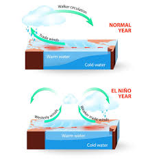 El Nino Weather Kidspressmagazine Com Biology Facts Global Weather El Nino