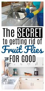 pin on homemaking tips & tricks