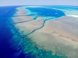 A shallow place in a body of water. Rowley Shoals Explore Parks Wa Parks And Wildlife Service