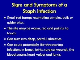 Found On Bing From Slideplayer Com Staph Infection Infections Symptoms