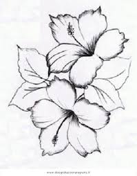 Natura Fiori Ibisco 2 Jpg Fiori Disegnati A Matita Disegno Di Fiori Disegno Fiori