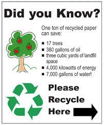 Cutting Down Paper Usage At Home | Sustainability For The Common Good