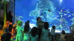 Sea Life Orlando Dives Into New Toddlers Time Chicago Tribune